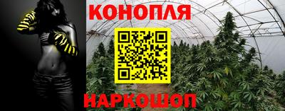 скорость Дубна