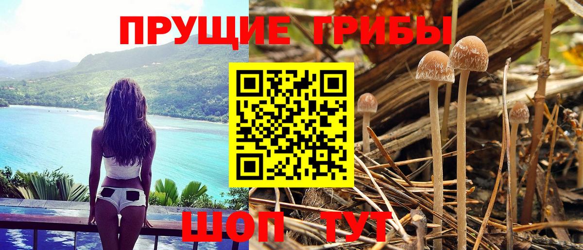 Пыть-Ях  Галлюциногенные грибы мухоморы  Вход с VPN  Псилоцибиновые грибы Psilocybine cubensis 