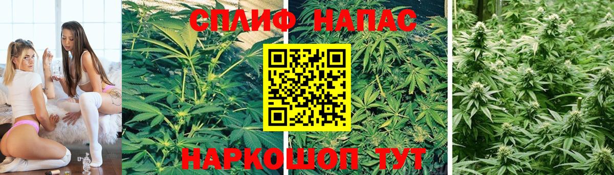 Канабис OG Kush  Канабис сатива  Бошки Шишки OG Kush  Вход с VPN  Пыть-Ях 